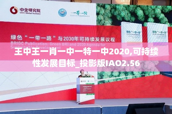 王中王一肖一中一特一中2020,可持續(xù)性發(fā)展目標_投影版IAO2.56