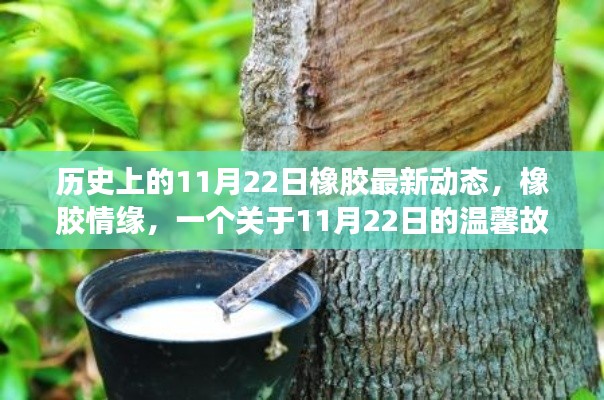 歷史上的橡膠情緣，揭秘橡膠最新動(dòng)態(tài)與溫馨故事
