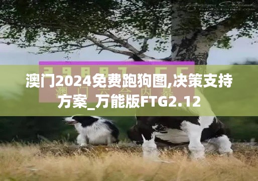 澳門2024免費(fèi)跑狗圖,決策支持方案_萬能版FTG2.12