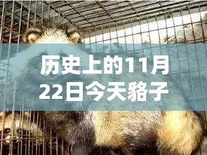 歷史上的今日與智能皮價(jià)監(jiān)測器，今日貉子皮最新價(jià)格融合科技與生活的革新