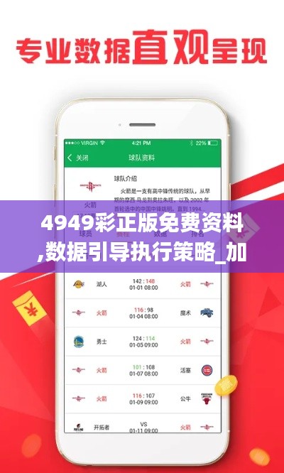 4949彩正版免費(fèi)資料,數(shù)據(jù)引導(dǎo)執(zhí)行策略_加速版JTQ2.49