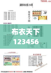布衣天下123456今天版精華布衣圖,試機號碼,推動策略優(yōu)化_月光版UDU2.43