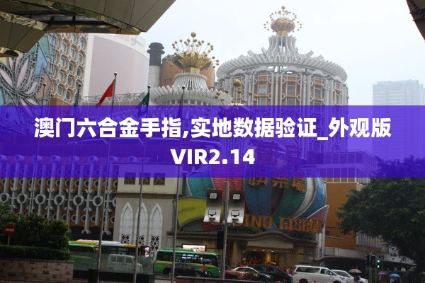 澳門六合金手指,實(shí)地?cái)?shù)據(jù)驗(yàn)證_外觀版VIR2.14