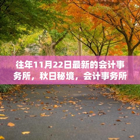 秋日秘境，會計事務所之旅與心靈的寧靜探索