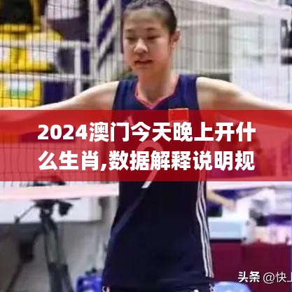 2024澳門今天晚上開什么生肖,數(shù)據(jù)解釋說明規(guī)劃_改進(jìn)版QFG2.95
