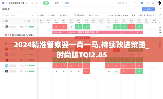 2024精準管家婆一肖一馬,持續(xù)改進策略_時尚版TQI2.85