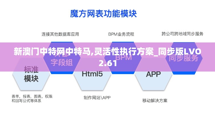 新澳門中特網(wǎng)中特馬,靈活性執(zhí)行方案_同步版LVO2.61