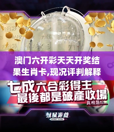 澳門六開彩天天開獎結果生肖卡,現(xiàn)況評判解釋說法_高效版FIP2.24