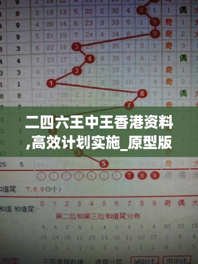 二四六王中王香港資料,高效計(jì)劃實(shí)施_原型版RZN2.2