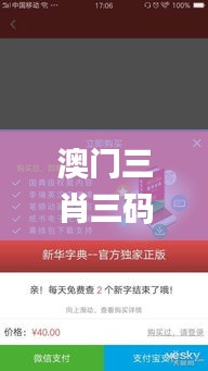 澳門三肖三碼精準(zhǔn)100%新華字典,即時解答解析分析_智能版UGM2.68