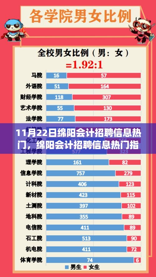 11月22日綿陽會(huì)計(jì)招聘信息熱門解析，把握機(jī)遇，成功應(yīng)聘指南