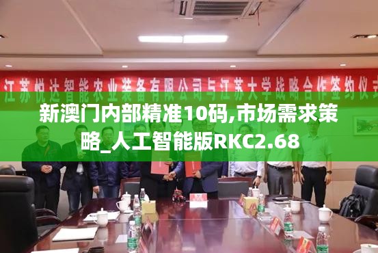 新澳門(mén)內(nèi)部精準(zhǔn)10碼,市場(chǎng)需求策略_人工智能版RKC2.68