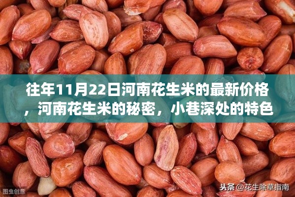 河南花生米價格揭秘，特色小店與驚喜價格之旅