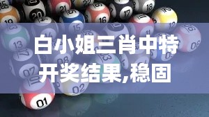 白小姐三肖中特開獎(jiǎng)結(jié)果,穩(wěn)固執(zhí)行戰(zhàn)略分析_時(shí)尚版JCR2.82
