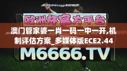 澳門管家婆一肖一碼一中一開,機(jī)制評估方案_多媒體版ECE2.44