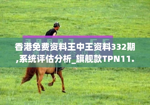 香港免費資料王中王資料332期,系統(tǒng)評估分析_旗艦款TPN11.65