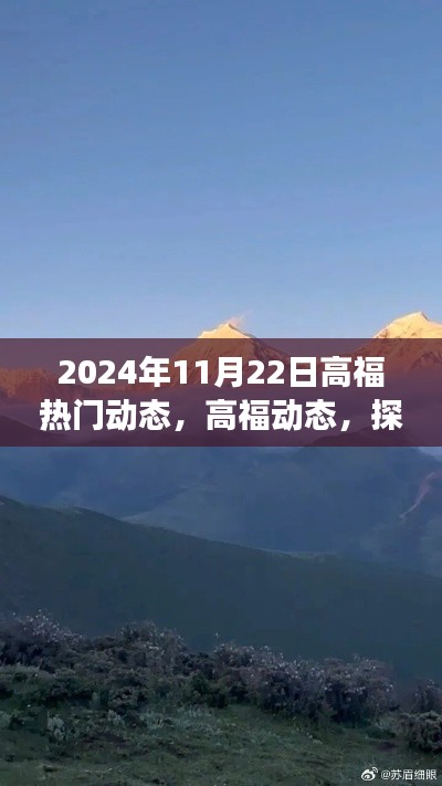 探索自然美景之旅，高福動(dòng)態(tài)啟程尋找內(nèi)心寧?kù)o的啟示，2024年11月22日熱門(mén)動(dòng)態(tài)回顧