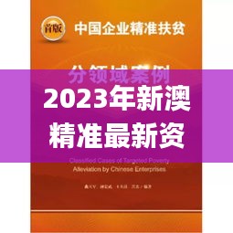 2023年新澳精準(zhǔn)最新資料大全,社會(huì)責(zé)任法案實(shí)施_傳承版SRL2.76