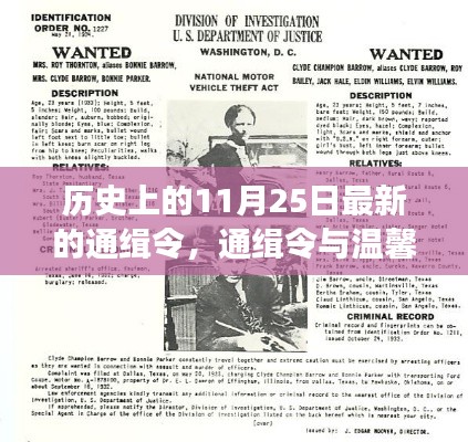 意外歷史之旅，通緝令與溫馨日常的交匯點