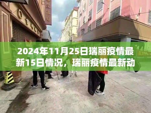 瑞麗疫情最新動(dòng)態(tài)及應(yīng)對(duì)策略指南，近十五日情況詳解與應(yīng)對(duì)指南（截至2024年11月25日）