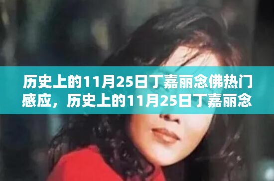 丁嘉麗念佛感應(yīng)深度解析與體驗(yàn)指南，歷史上的11月25日熱門感應(yīng)回顧與感悟分享