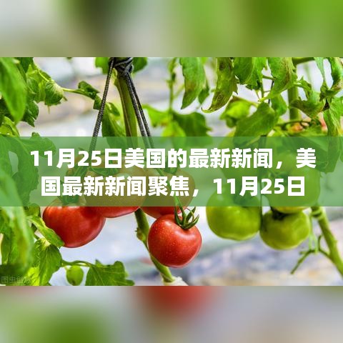 美國(guó)最新新聞聚焦，深度解讀三大要點(diǎn)（11月25日）