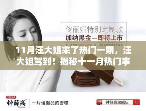 揭秘十一月熱門事件背后的故事，汪大姐駕到！