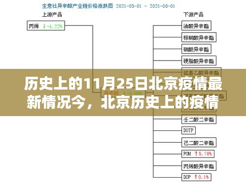 北京疫情回顧，聚焦歷史上的11月25日疫情最新情況