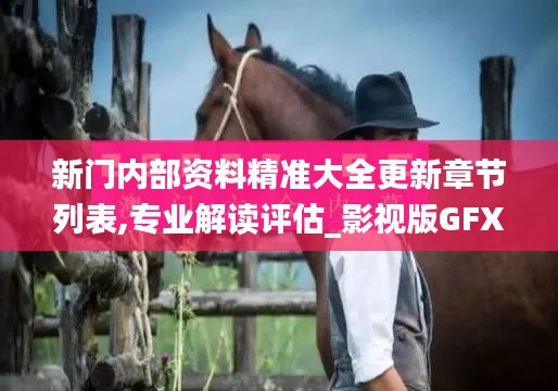 新門(mén)內(nèi)部資料精準(zhǔn)大全更新章節(jié)列表,專(zhuān)業(yè)解讀評(píng)估_影視版GFX9.13