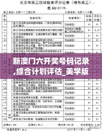 新澳門六開獎(jiǎng)號碼記錄,綜合計(jì)劃評估_美學(xué)版FXK9.69