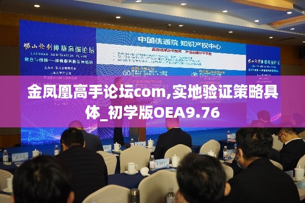 金鳳凰高手論壇com,實(shí)地驗(yàn)證策略具體_初學(xué)版OEA9.76