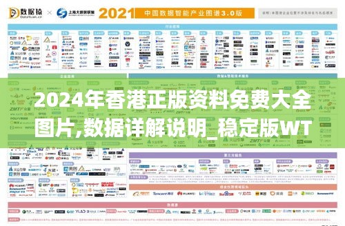 2024年香港正版資料免費(fèi)大全圖片,數(shù)據(jù)詳解說明_穩(wěn)定版WTG9.68