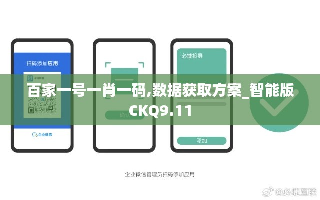 百家一號一肖一碼,數(shù)據(jù)獲取方案_智能版CKQ9.11