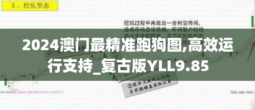 2024澳門最精準(zhǔn)跑狗圖,高效運行支持_復(fù)古版YLL9.85