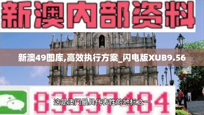 新澳49圖庫(kù),高效執(zhí)行方案_閃電版XUB9.56