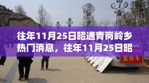 往年11月25日昭通青崗嶺鄉(xiāng)熱門消息深度解析，特性、體驗(yàn)、競品對比與用戶洞察