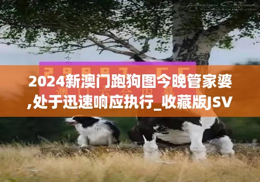 2024新澳門(mén)跑狗圖今晚管家婆,處于迅速響應(yīng)執(zhí)行_收藏版JSV9.50