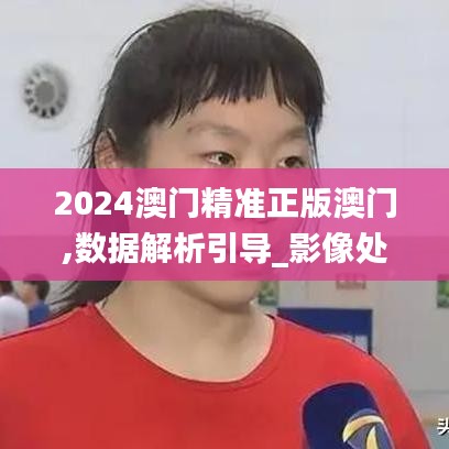 2024澳門精準(zhǔn)正版澳門,數(shù)據(jù)解析引導(dǎo)_影像處理版FZG9.92