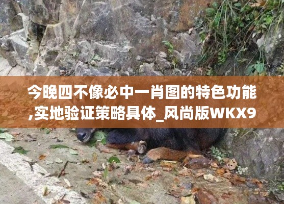 今晚四不像必中一肖圖的特色功能,實地驗證策略具體_風(fēng)尚版WKX9.46