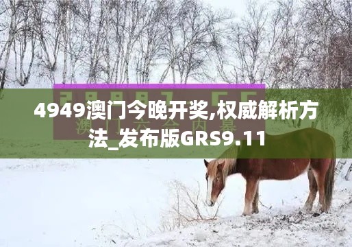 4949澳門今晚開獎(jiǎng),權(quán)威解析方法_發(fā)布版GRS9.11