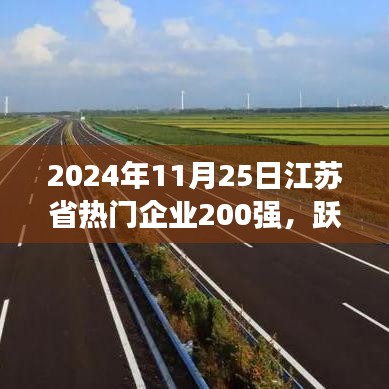 江蘇省企業(yè)巔峰榜，勵(lì)志故事與變化成就榮耀之路（2024年江蘇省熱門企業(yè)200強(qiáng)）