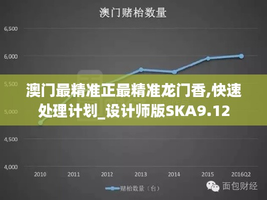 澳門最精準(zhǔn)正最精準(zhǔn)龍門香,快速處理計(jì)劃_設(shè)計(jì)師版SKA9.12