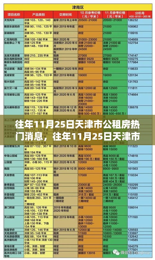 往年11月25日天津市公租房熱門消息全面解析，特性、體驗、競爭態(tài)勢與目標用戶分析