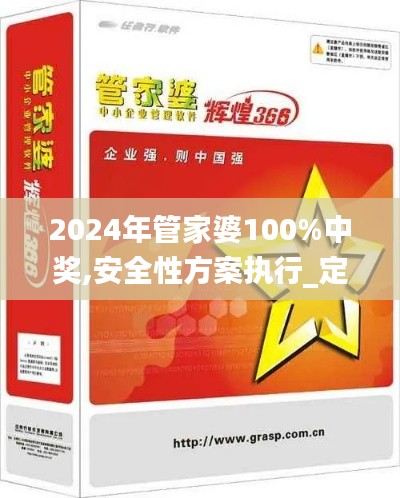 2024年管家婆100%中獎,安全性方案執(zhí)行_定向版MPZ9.96