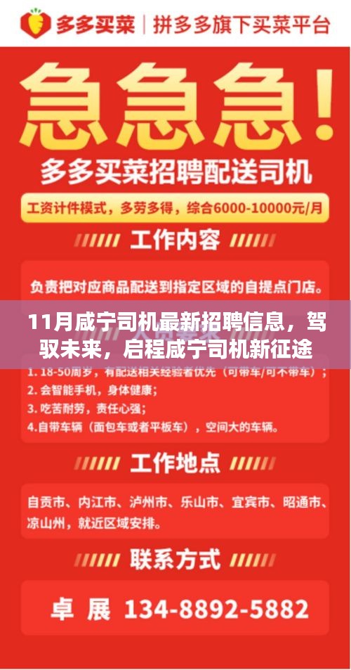 11月咸寧司機(jī)最新招聘信息，駕馭未來，啟程新征程！