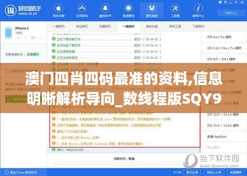 澳門四肖四碼最準(zhǔn)的資料,信息明晰解析導(dǎo)向_數(shù)線程版SQY9.59