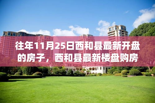 西和縣最新樓盤(pán)購(gòu)房攻略，如何順利購(gòu)買(mǎi)往年11月25日新開(kāi)樓盤(pán)攻略及最新房源信息解讀