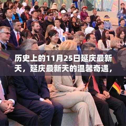 延慶最新天的溫馨奇遇，友誼與陪伴的故事，歷史上的這一天回顧