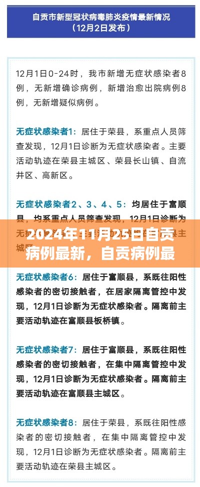 2024年11月25日自貢病例最新情況詳解，全方位了解與應(yīng)對步驟