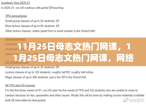 母志文熱門網課，網絡教育的雙刃劍效應探討